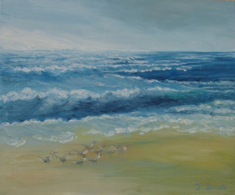 96OiseauxSurLaPlage20x24cmHuileSurMédium.jpg